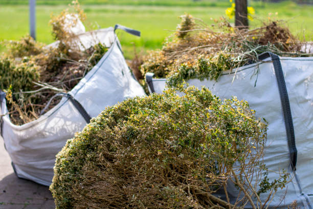 Best Attic Cleanout Services  in Roessleville, NY